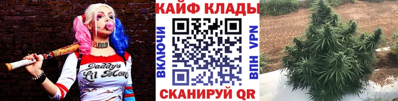 Виды наркотиков купить Светлый Alpha-PVP  АМФ  Гашиш  Каннабис  Cocaine  ГЕРОИН  МЕФ 
