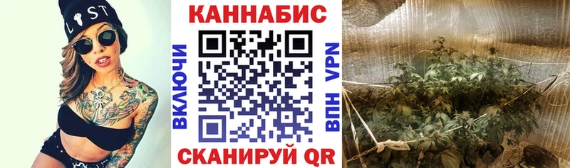 blacksprut маркетплейс  Светлый  Канабис индика 